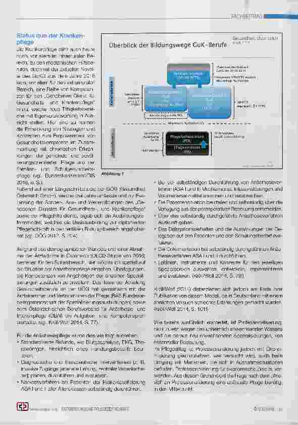 Vorschauseite 2: Professionalisierung der Krankenpflege mit Blick auf die Anästhesiepflege