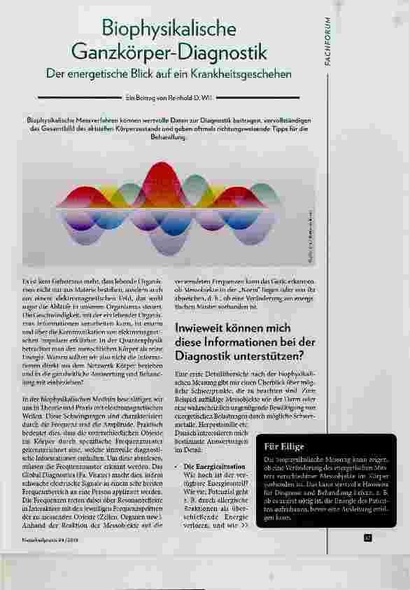 Vorschauseite 1: Biophysikalische Ganzkörper-Diagnostik