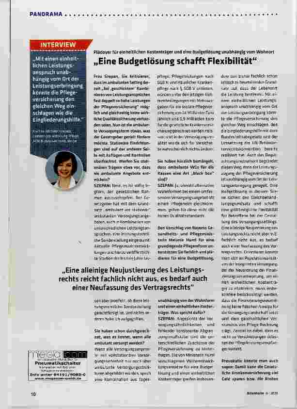 Vorschauseite 1: Eine Budgetlösung schafft Flexibilität
