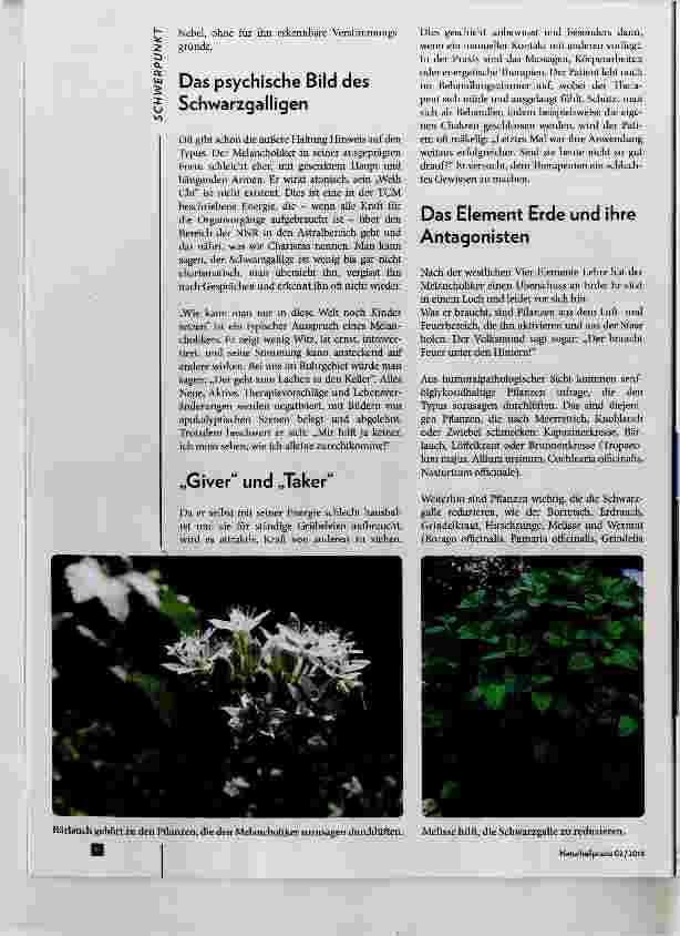 Vorschauseite 2: Vom schwarzgalligen Typus