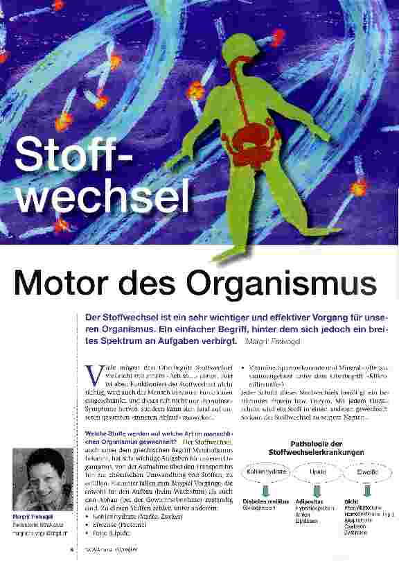 Vorschauseite 1: Stoffwechsel- Motor des Organismus