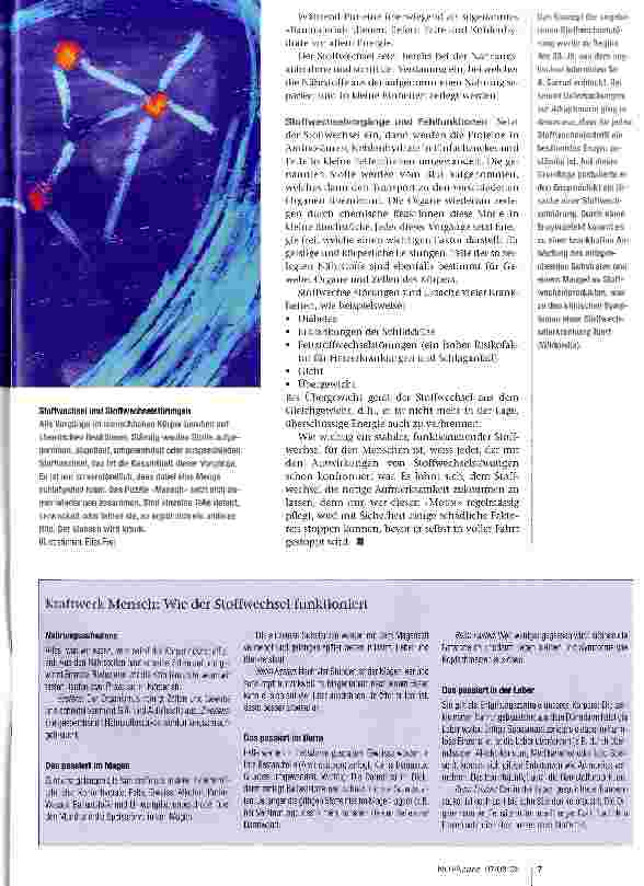 Vorschauseite 2: Stoffwechsel- Motor des Organismus