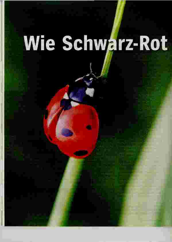 Vorschauseite 1: Wie Schwarz-Rot punkten will