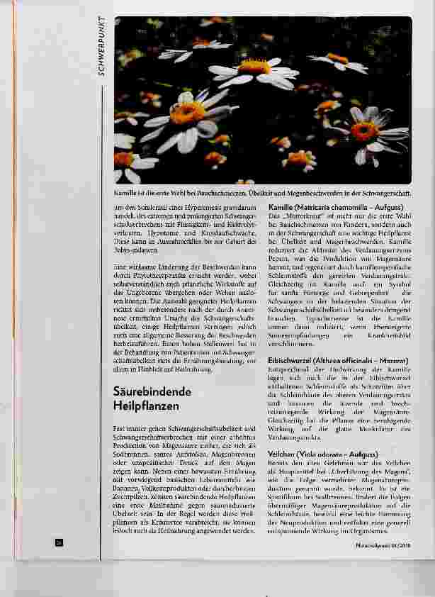 Vorschauseite 2: Schwangerschaftsübelkeit Hilfe aus der Naturheilkunde