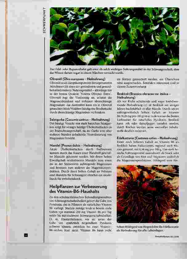 Vorschauseite 4: Schwangerschaftsübelkeit Hilfe aus der Naturheilkunde
