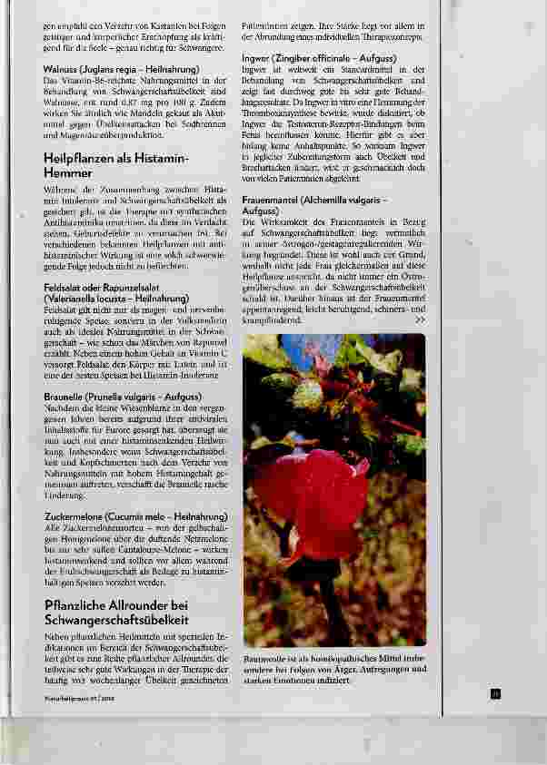 Vorschauseite 5: Schwangerschaftsübelkeit Hilfe aus der Naturheilkunde