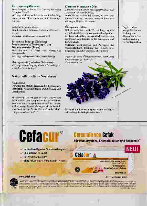 Vorschauseite 4: Schlaganfall naturheilkundlich behandeln