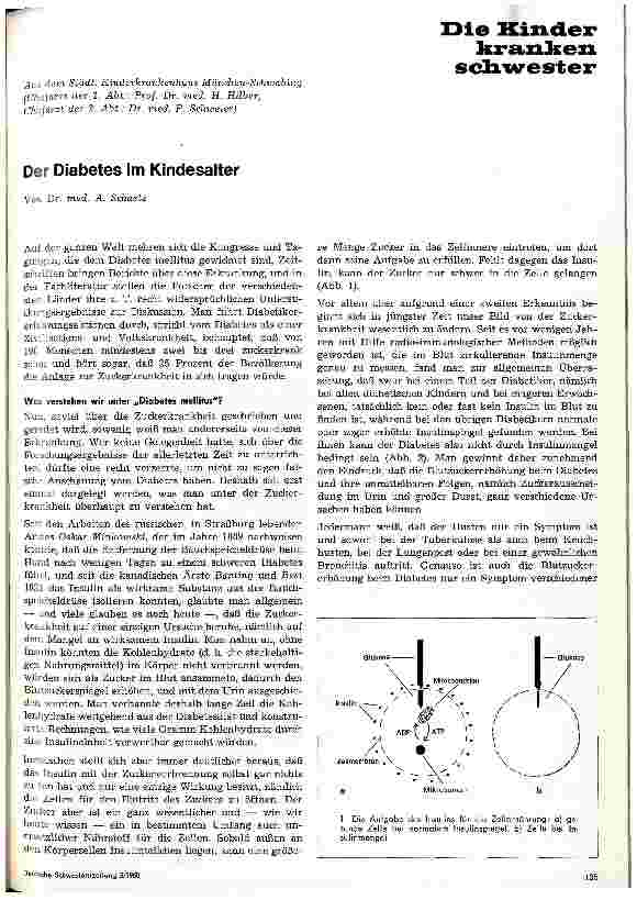 Vorschauseite 1: Der Diabetes im Kindesalter