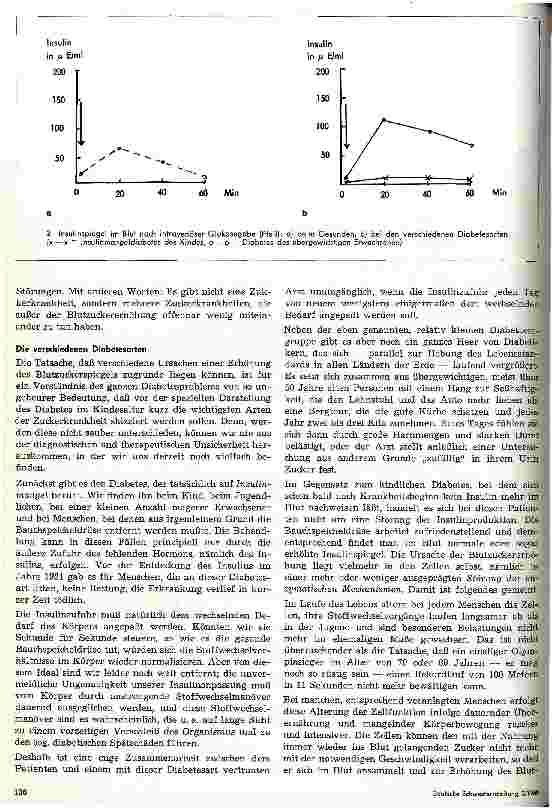Vorschauseite 2: Der Diabetes im Kindesalter