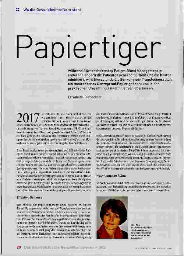 Vorschauseite 1: Papiertiger