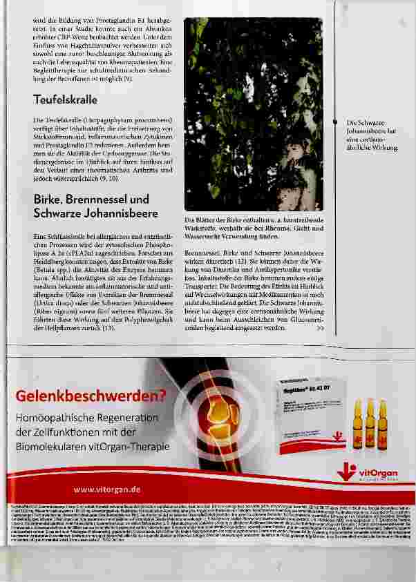 Vorschauseite 4: Komplementärmedizinische Begleittherapie bei rheumatischer Arthritis