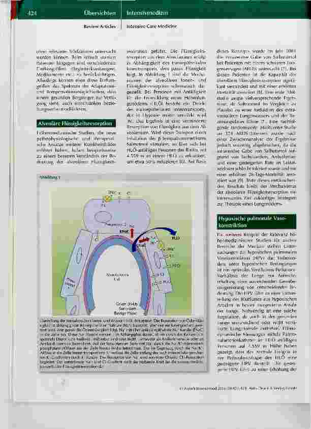 Vorschauseite 3: Hypoxie - von extremen Höhen auf die Intensivstation