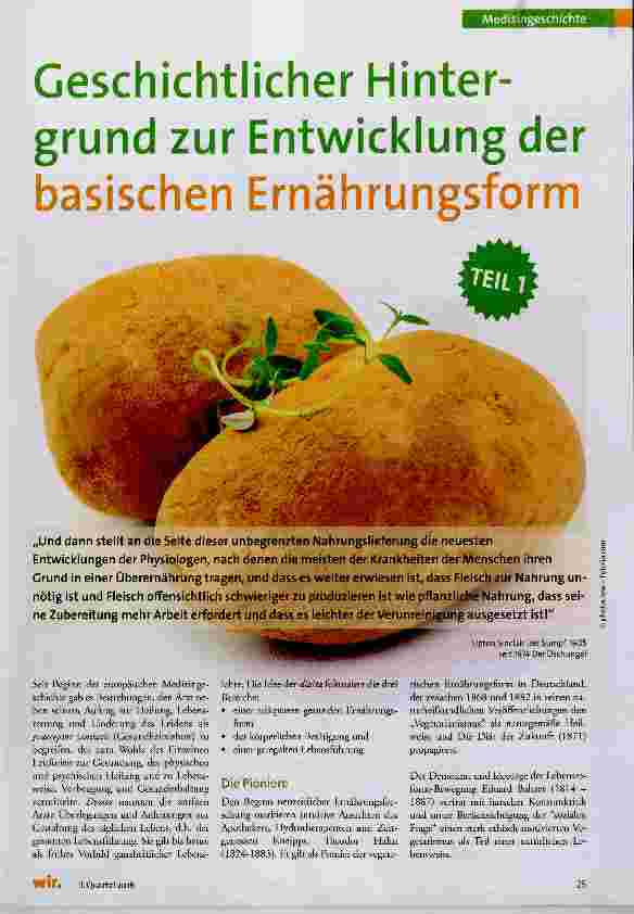 Vorschauseite 1: Geschichtlicher Hintergrund zur Entwicklung der basischen Ernährungsform