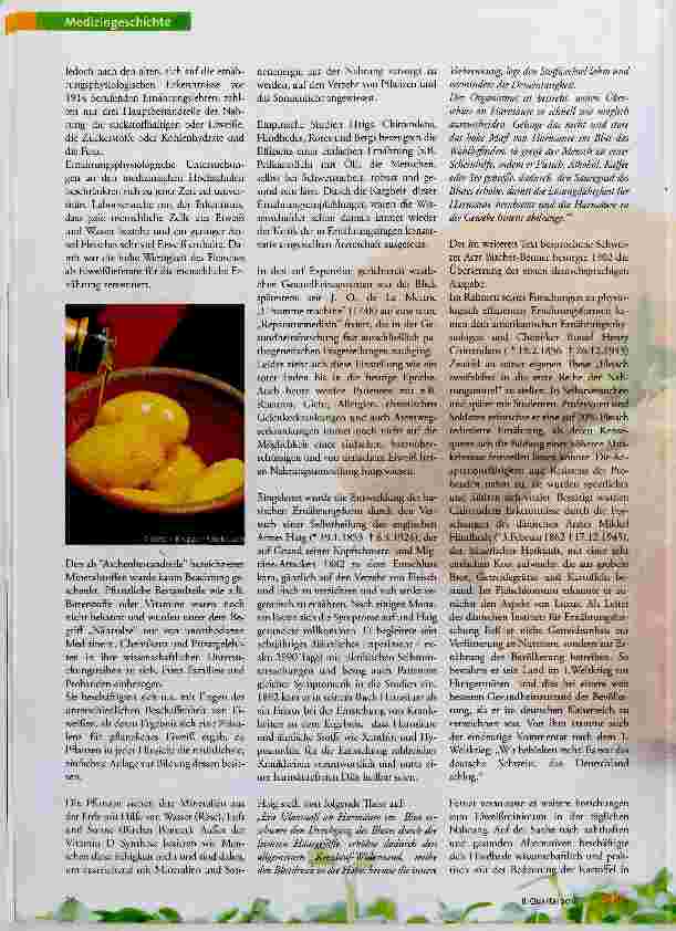 Vorschauseite 2: Geschichtlicher Hintergrund zur Entwicklung der basischen Ernährungsform