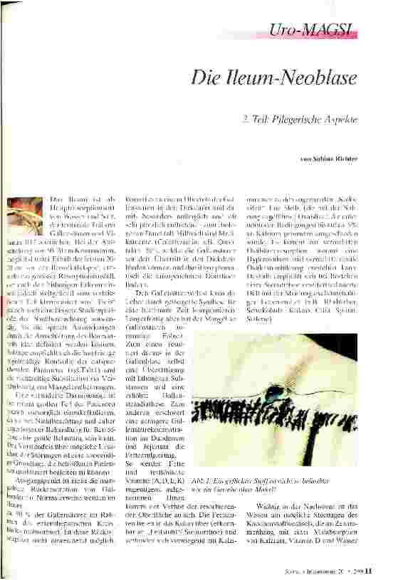 Vorschauseite 1: die Ileum-Neoblase