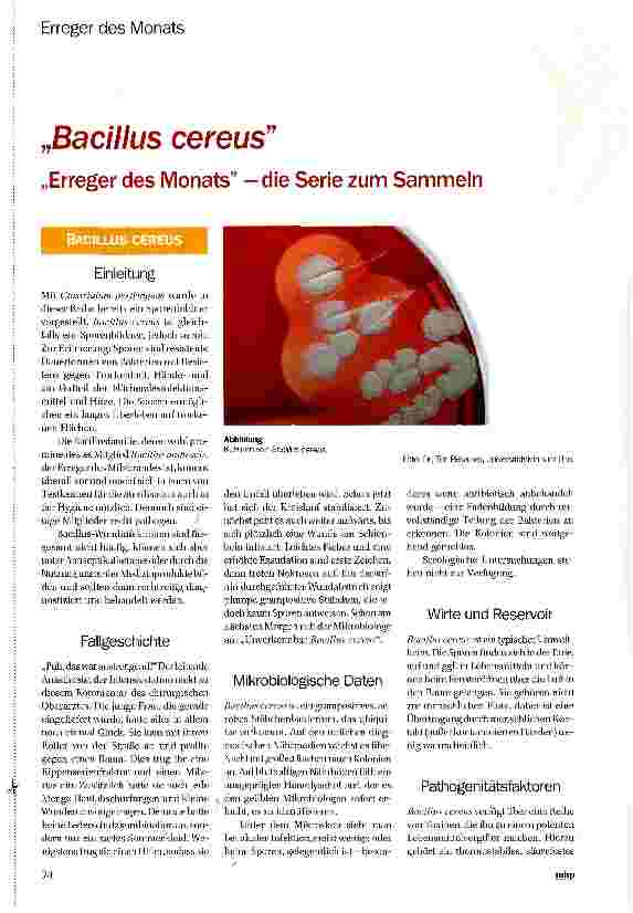 Vorschauseite 1: „Bacillus cereus „Erreger des Monats —die Serie zum Sammeln