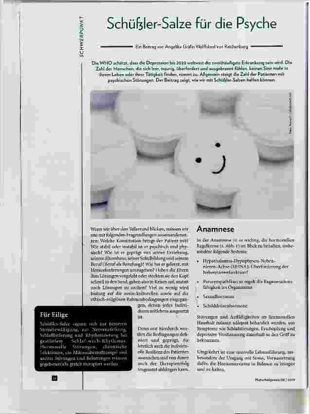 Vorschauseite 1: Schüfeler-Salze für die Psyche