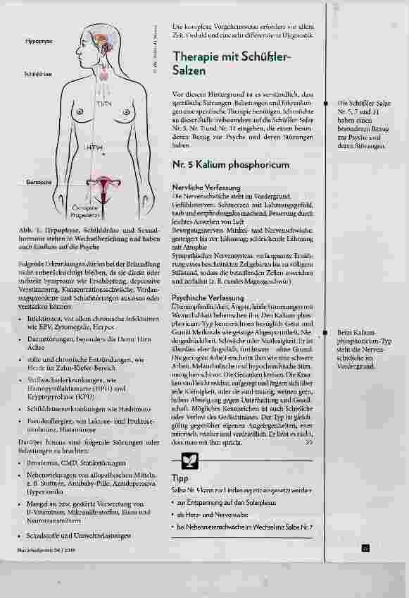 Vorschauseite 2: Schüfeler-Salze für die Psyche