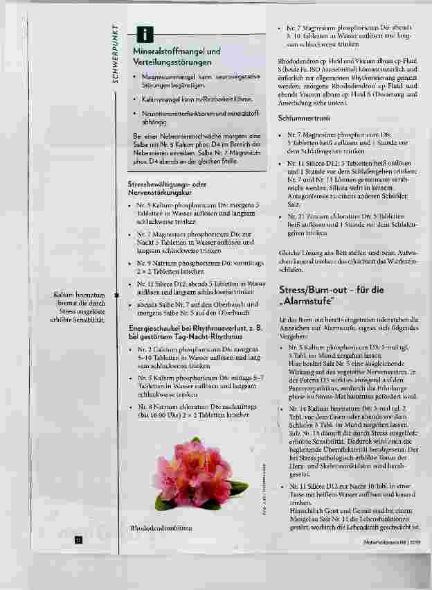 Vorschauseite 5: Schüfeler-Salze für die Psyche