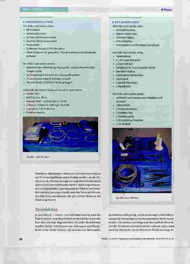 Vorschauseite 2: Fenestrierte endovaskuläre Aortenreparatur