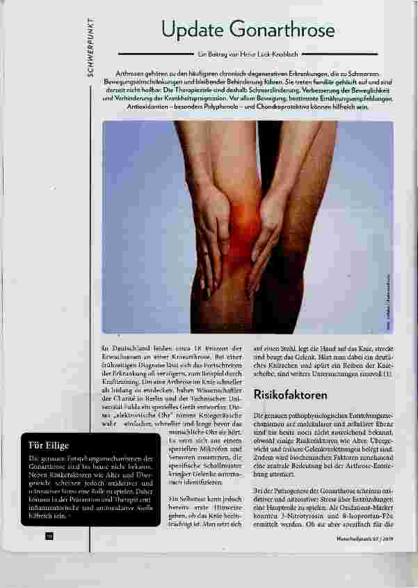 Vorschauseite 1: Update Gonarthrose