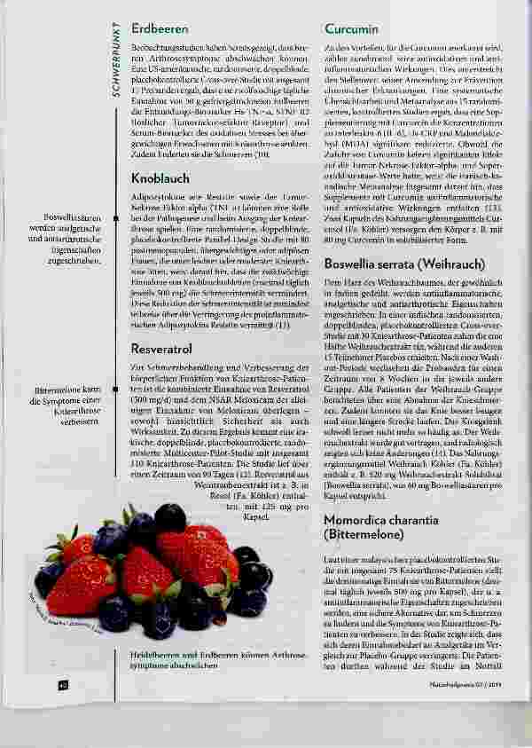 Vorschauseite 3: Update Gonarthrose