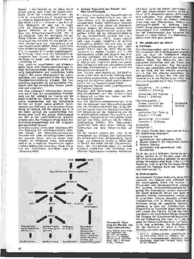 Vorschauseite 3: Einführung in die Wasserund Elektrolyttherapie in der Chirurgie 2. Folge: Physiologie des Wasserund Elejktrolytstoffwechsels