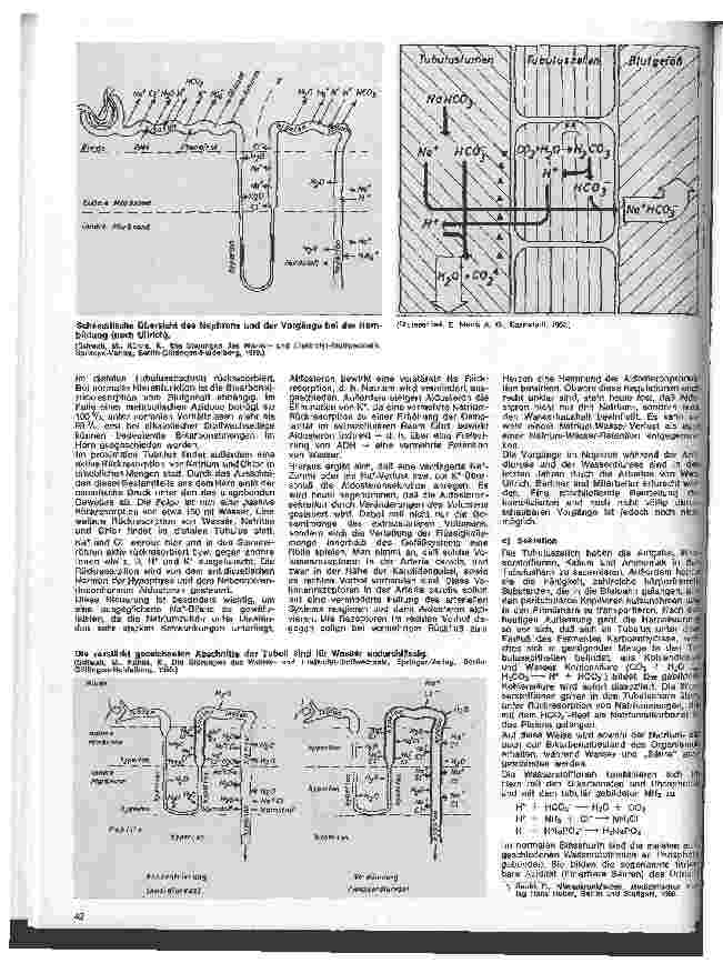 Vorschauseite 4: Einführung in die Wasserund Elektrolyttherapie in der Chirurgie 2. Folge: Physiologie des Wasserund Elejktrolytstoffwechsels
