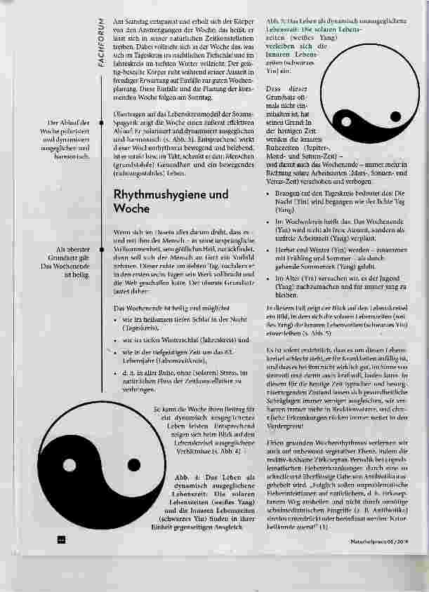 Vorschauseite 3: Rhythmik und Heilkunst: Der Wochenkreis Teil 2