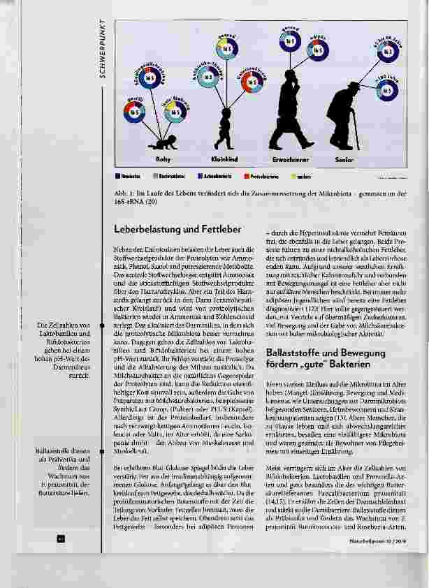 Vorschauseite 2: Darmmikrobiota im Alter