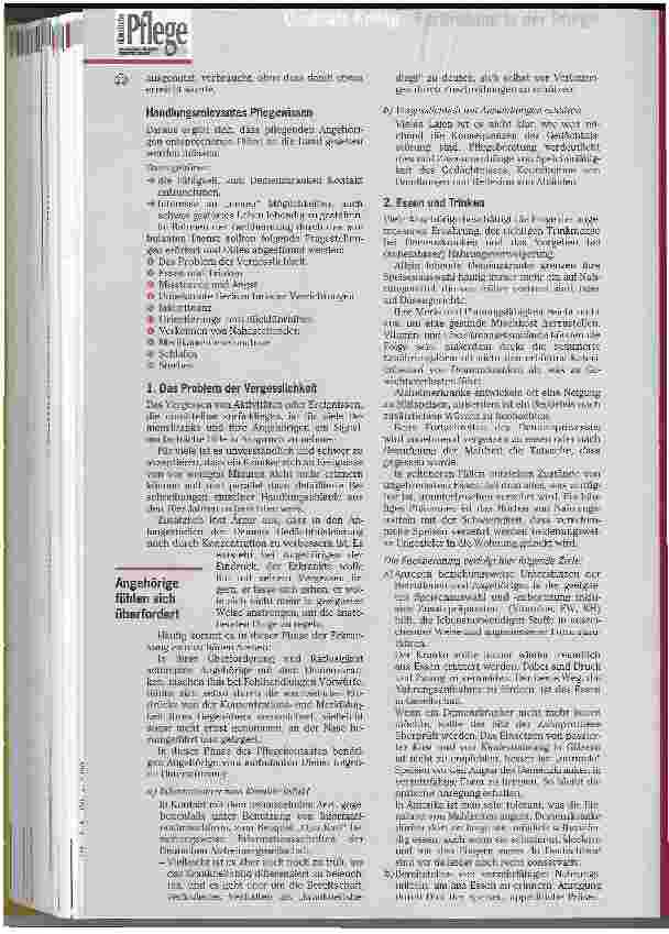 Vorschauseite 2: Pflegepraxis für die interne Fortbildung