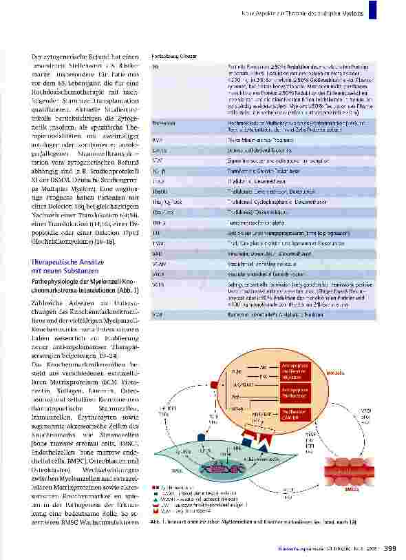 Vorschauseite 3: Neue Aspekte zur Therapie des multiplen Myeloms