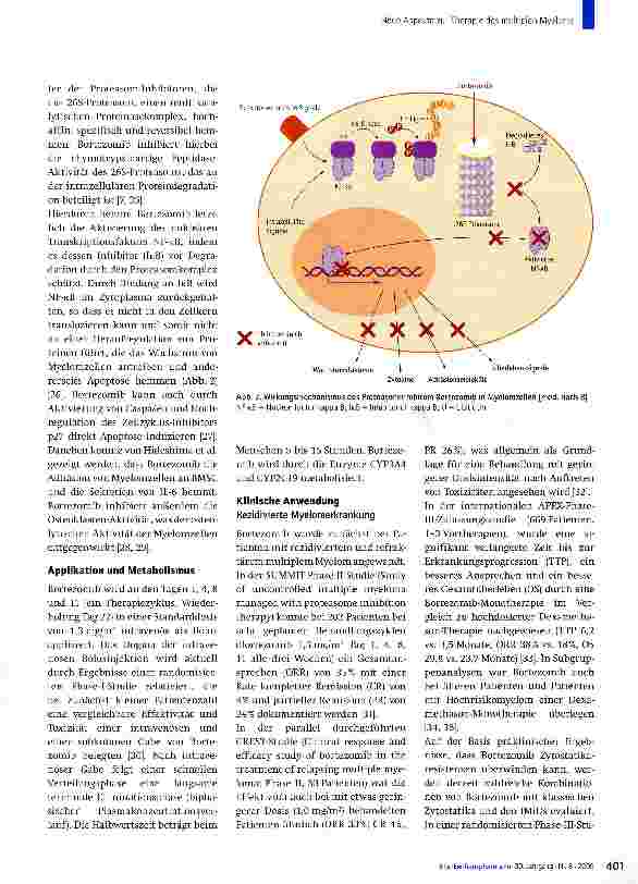 Vorschauseite 5: Neue Aspekte zur Therapie des multiplen Myeloms