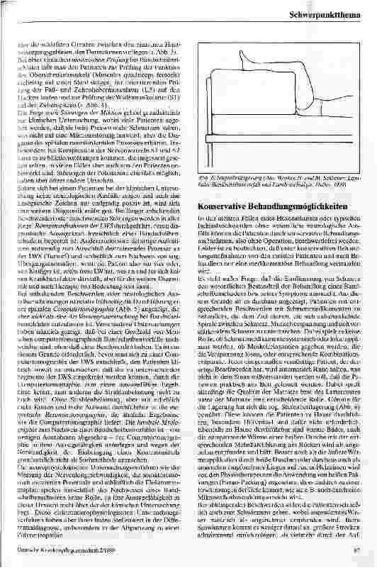 Vorschauseite 5: Bandscheibenvorfälle an der Lendenwirbelsäule