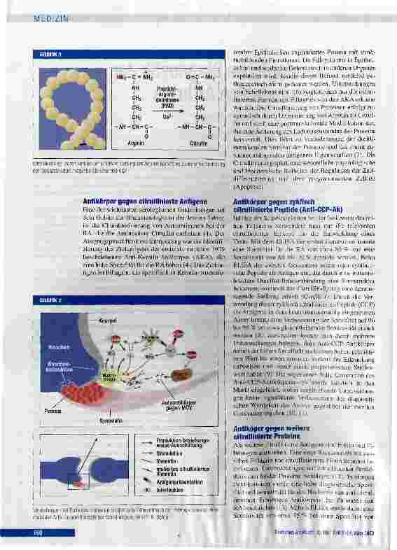 Vorschauseite 2: Serologische Diagnostik der rheumatoiden Arthritis