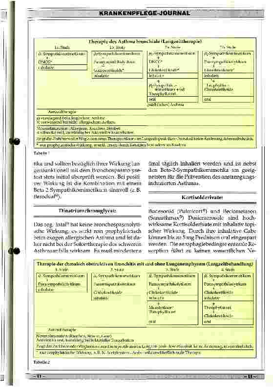 Vorschauseite 2: Bedeutung der Inhalationstherapie bie Bronchialerkrankungen