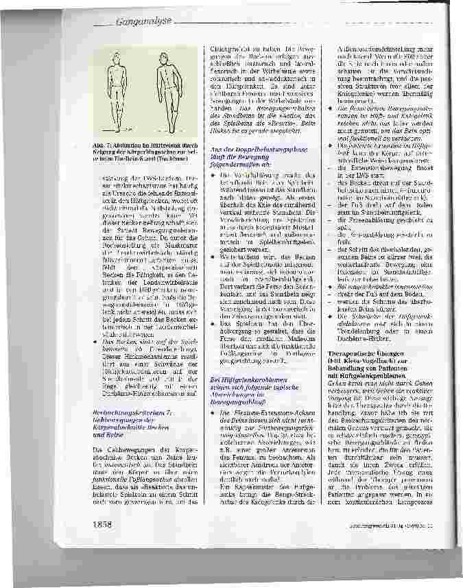 Vorschauseite 4: Ganganalyse bei Hüftgelenkproblemenund therapeutische Übungen zur Behandlungvon Patienten mit Hüftgelenkproblemen
