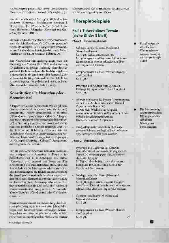 Vorschauseite 4: Heuschnupfen aus Sicht der Elementelehre