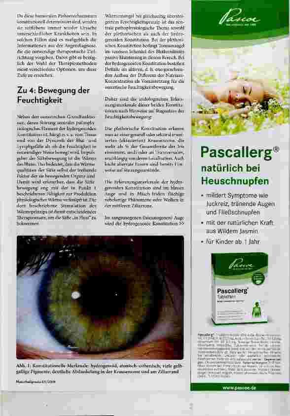 Vorschauseite 3: Das Feuchtigkeitsprinzip in der Augendiagnose
