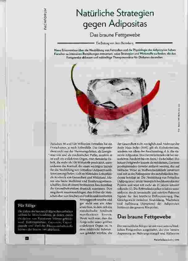 Vorschauseite 1: Natürliche Strategien gegen Adipositas