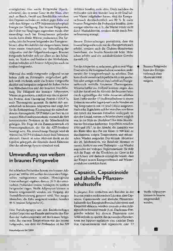 Vorschauseite 2: Natürliche Strategien gegen Adipositas