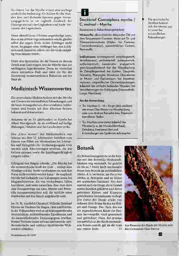 Vorschauseite 2: Myrrhe - die Gabe des dritten Königs