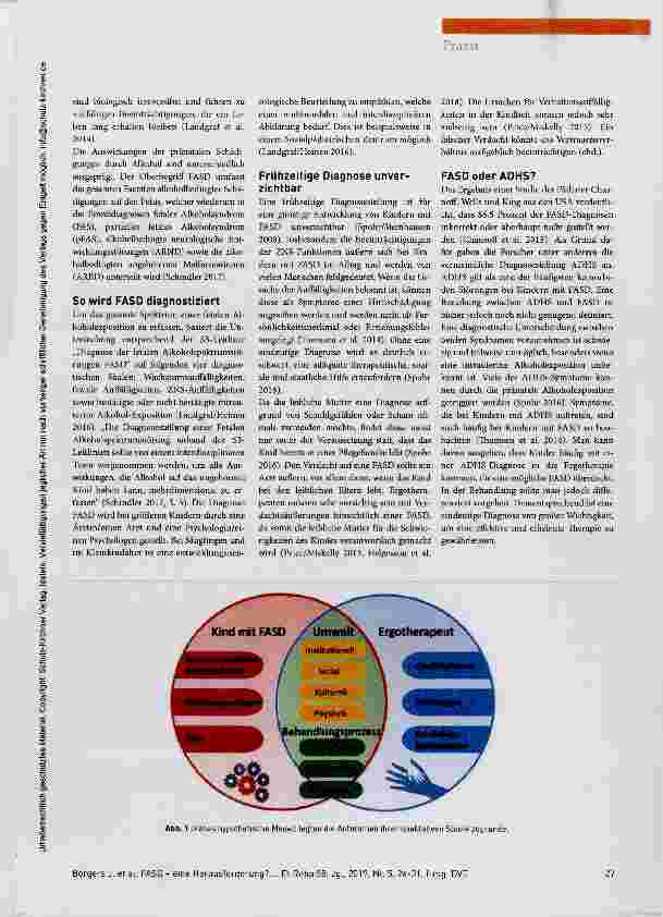 Vorschauseite 2: FASD eine Herausforderung?