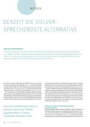 Vorschauseite 1: Derzeit die Vielversprechenste Alternative