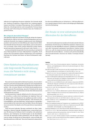 Vorschauseite 5: Derzeit die Vielversprechenste Alternative