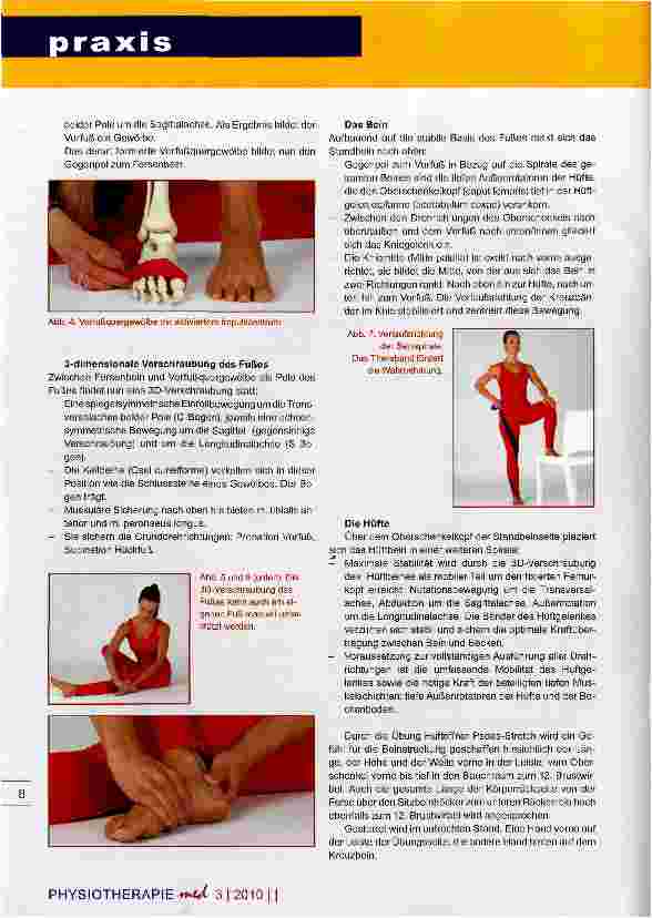 Vorschauseite 4: Yoga und Spiraldynamik