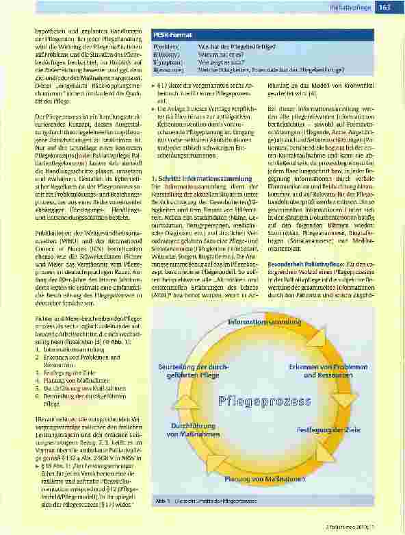 Vorschauseite 2: Pflegeplanung in der Palliativpflege