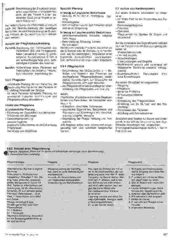 Vorschauseite 5: Pflegesysteme - Das Patienten-Dokumentationssystem Kardex - aufgezeigt am Leonberger Kardex-Modell