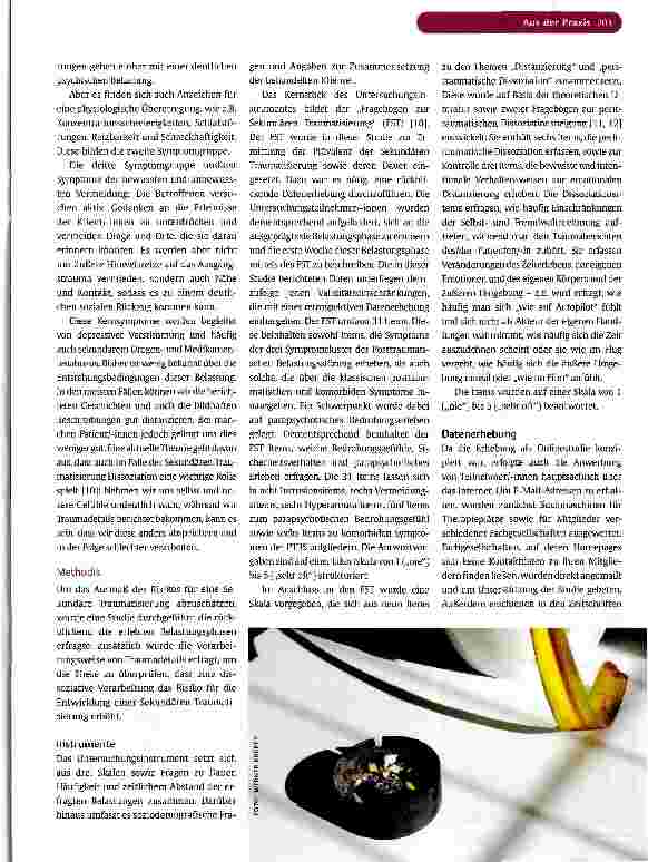 Vorschauseite 2: Sekundäre Traumatisierung von Pflegerinnen und Pflegern
