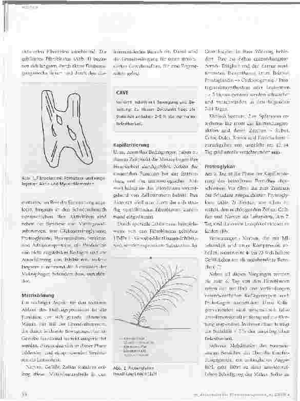 Vorschauseite 3: Physiologie der Heilung
